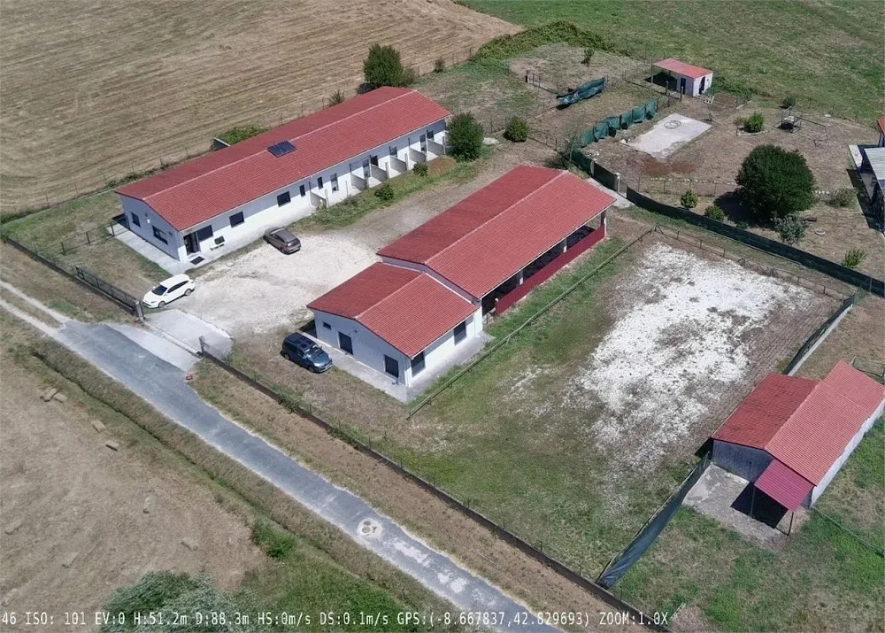 Villa Mai - Hotel Canino y Felino - Galicia pet otel