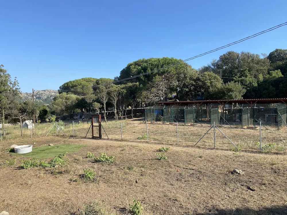Asilo e pensione per cani Canenero - Gallura Nord-Est Sardegna pet otel