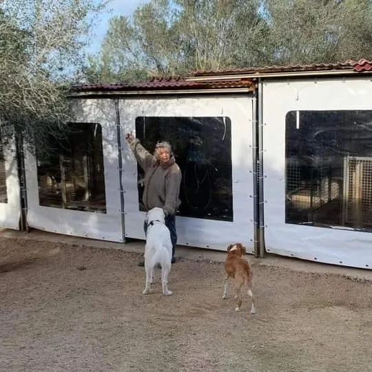 Pensione cani ruga In sardegna di claudia bove - Gallura Nord-Est Sardegna pet otel