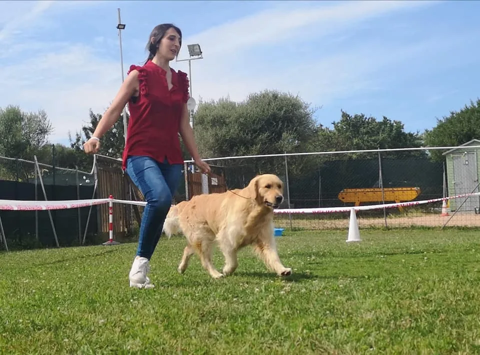 Prenda 'e Oro di Silvia Caria Olbia - pensione per cani - toelettatura - educatore cinofilo - Pet therapy (I.A.A.) - Gallura Nord-Est Sardegna pet otel