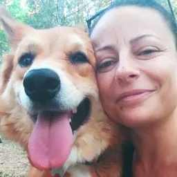 Spettinati toelettatura , pensione e dog sitter - Gallura Nord-Est Sardegna pet otel görseli 4