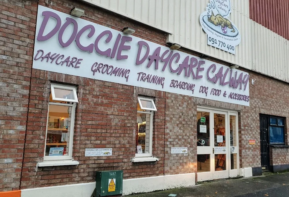 Doggie Daycare Galway - Galway pet otel görseli 7