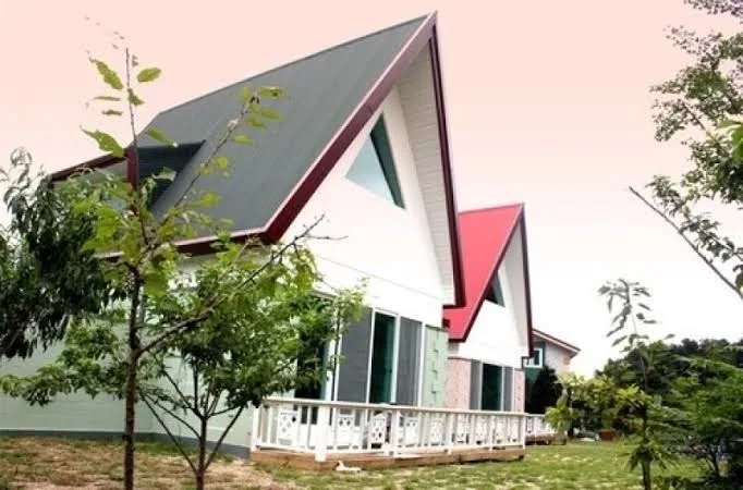 Yangyang Happyplace pet Resort Pension - Gangwon pet otel görseli 4
