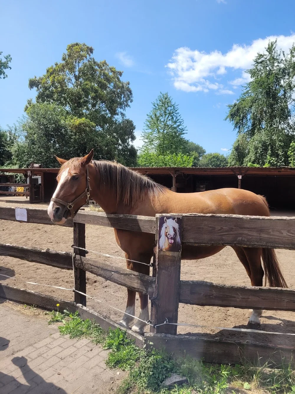 Heim für Tiere Misburg Streichelzoo-Tierpension-Gnadenhof - Garbsen pet otel görseli 11