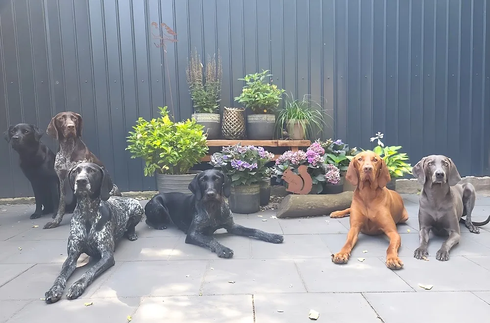 Mara Isabelle Deuster, HundeRudel Langenhagen - Garbsen pet otel