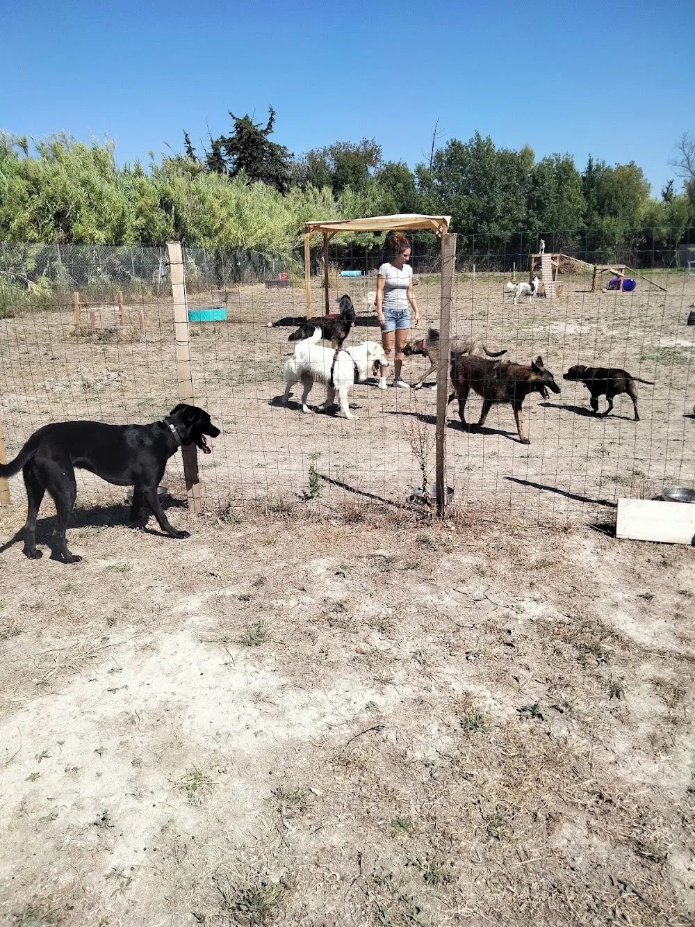 Le Domaine des Prades - Gard pet otel görseli 2