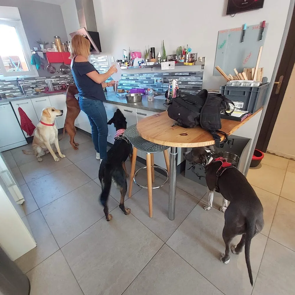 Mary pet-sitter - Gard pet otel görseli 3