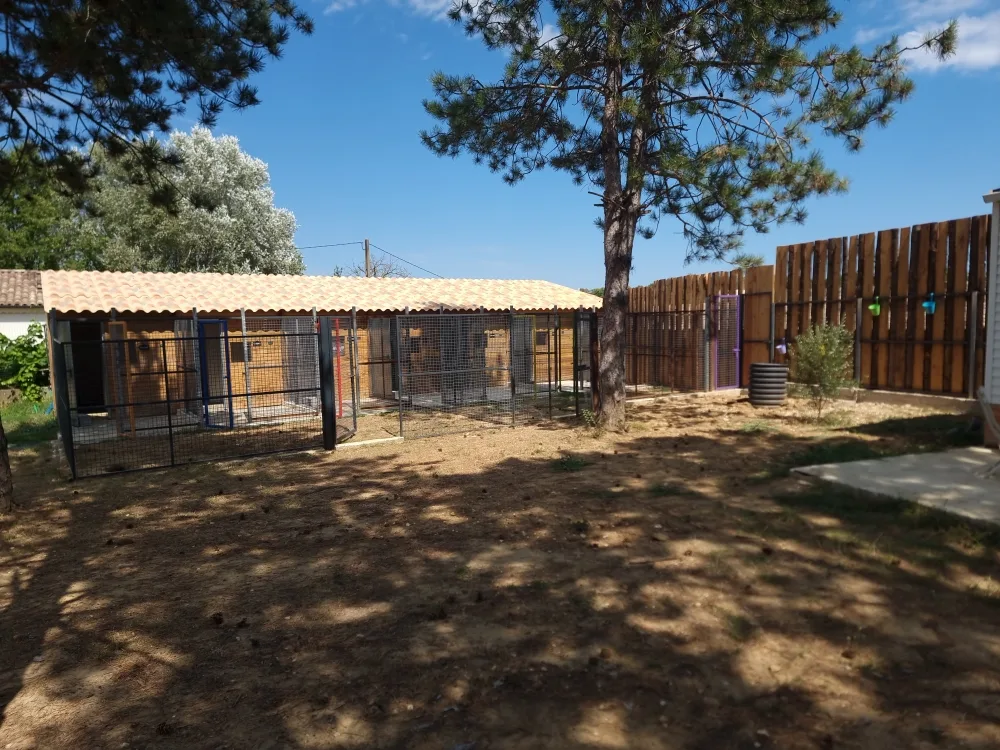 Pension canine les pins - Gard pet otel görseli 3