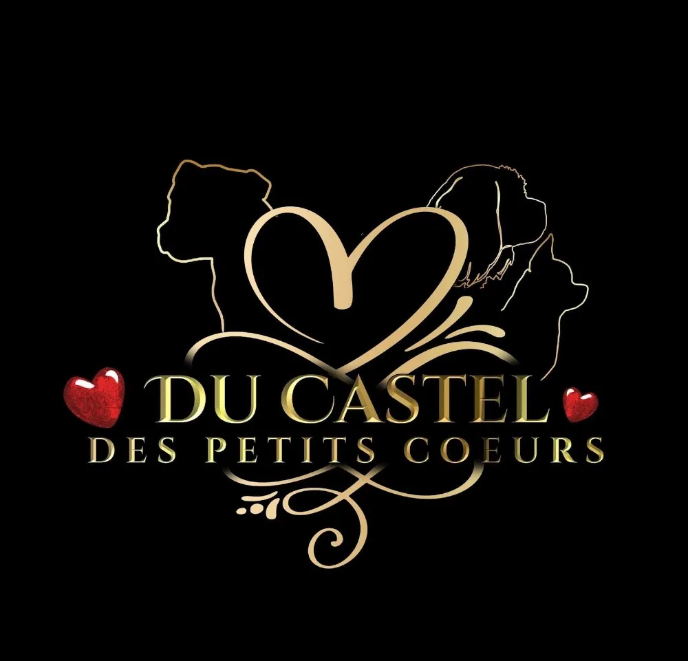 Pension et Elevage Canin Du Castel Des Petits Cœurs - Gard pet otel görseli 3