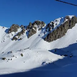 Pension et Elevage Canin Du Castel Des Petits Cœurs - Gard pet otel görseli 4