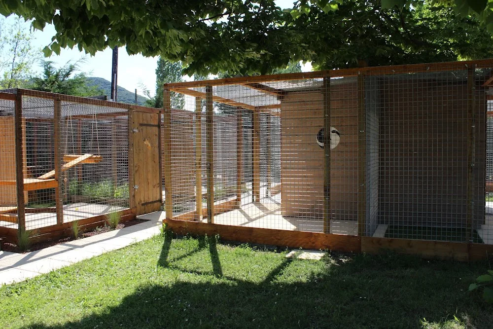 Pension Féline Cigaloise - Gard pet otel görseli 3