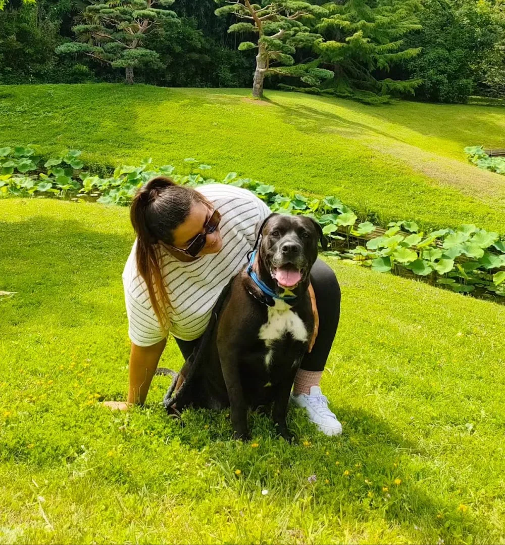 Thalya Garderie : pension animalière familiale et garde à domicile Sommières et alentours - Gard pet otel