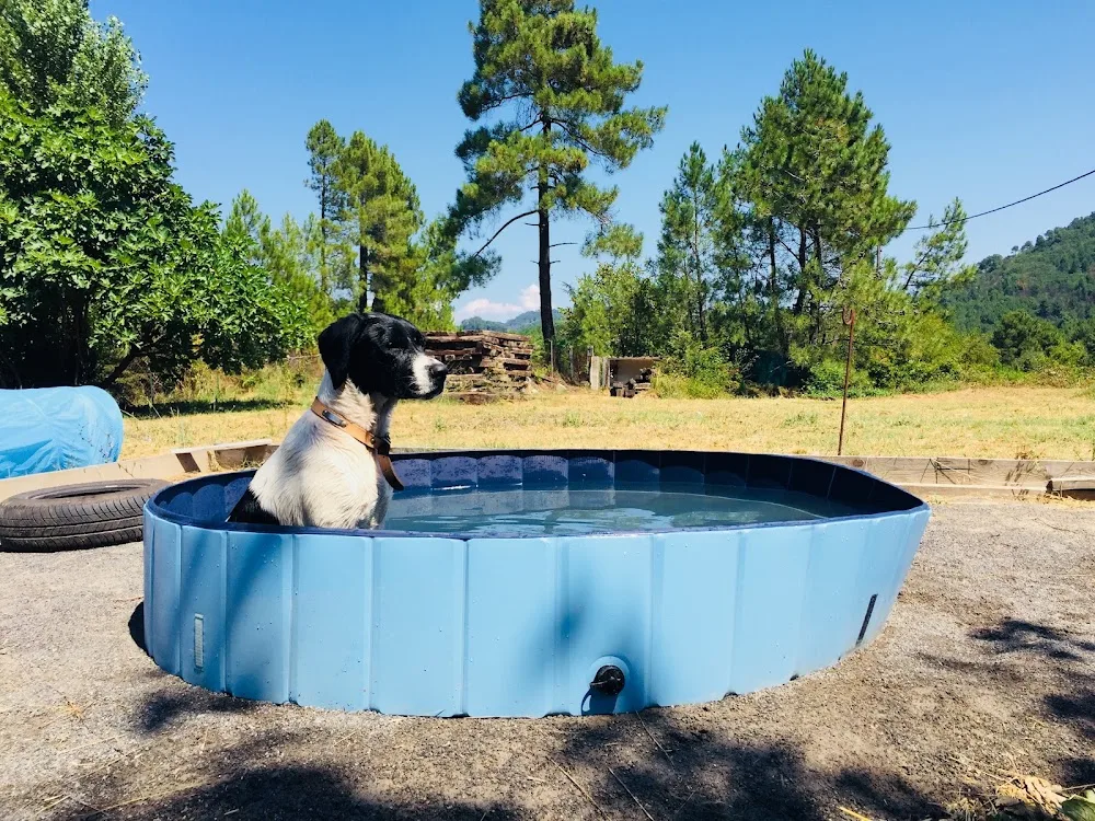 Village Canin des Cévennes - Gard pet otel görseli 3