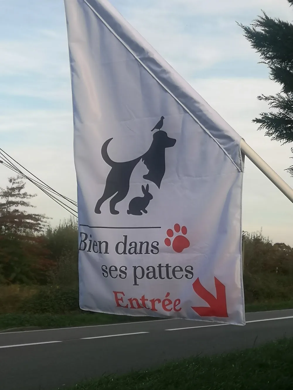 Bien dans ses pattes - Gastes pet otel