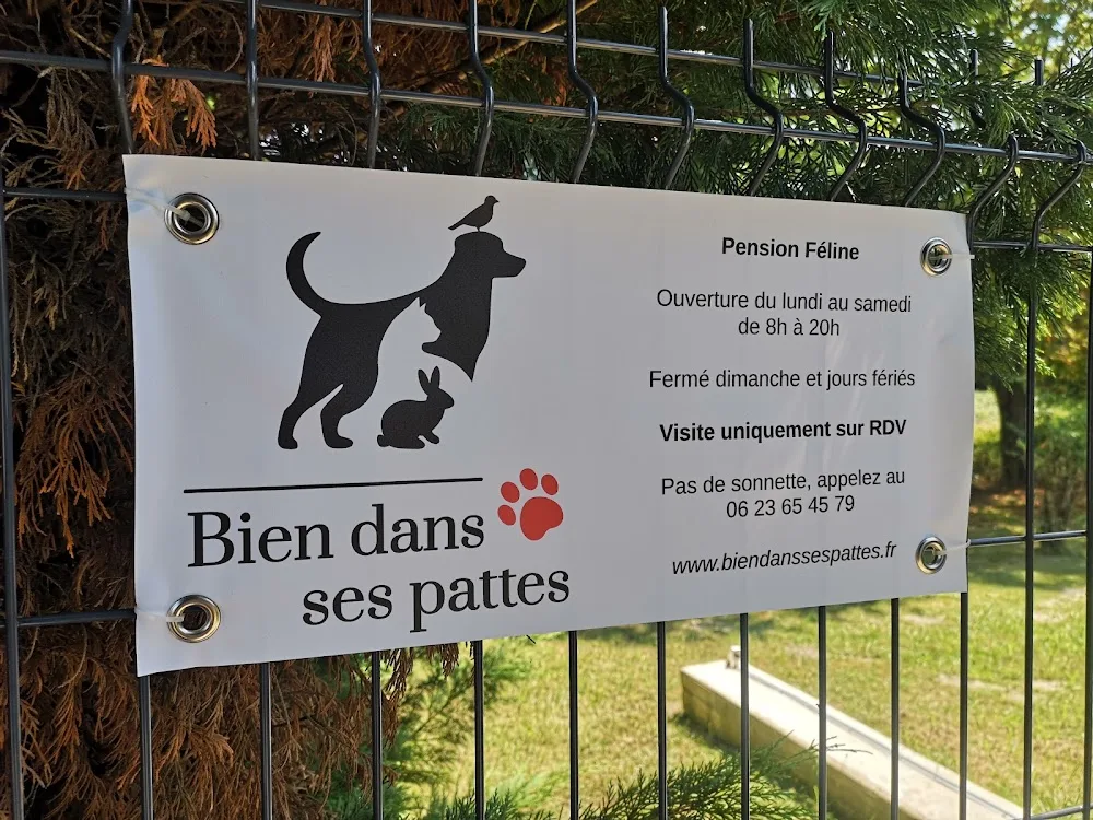 Bien dans ses pattes - Gastes pet otel görseli 3