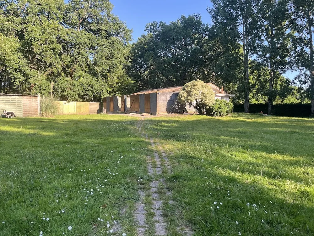 Hôtel Canin Priscillia Godefroy - Gastes pet otel