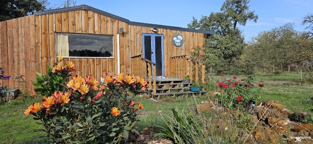 Le Chalet Des Pins - Pension Féline - Gastes pet otel