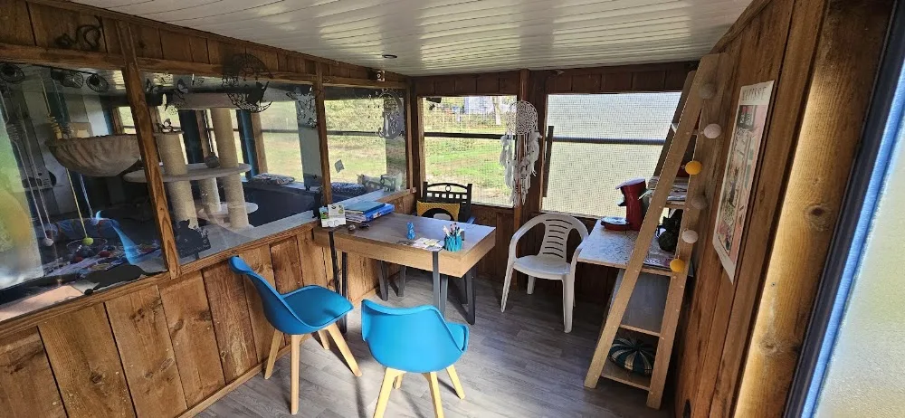 Le Chalet Des Pins - Pension Féline - Gastes pet otel görseli 3