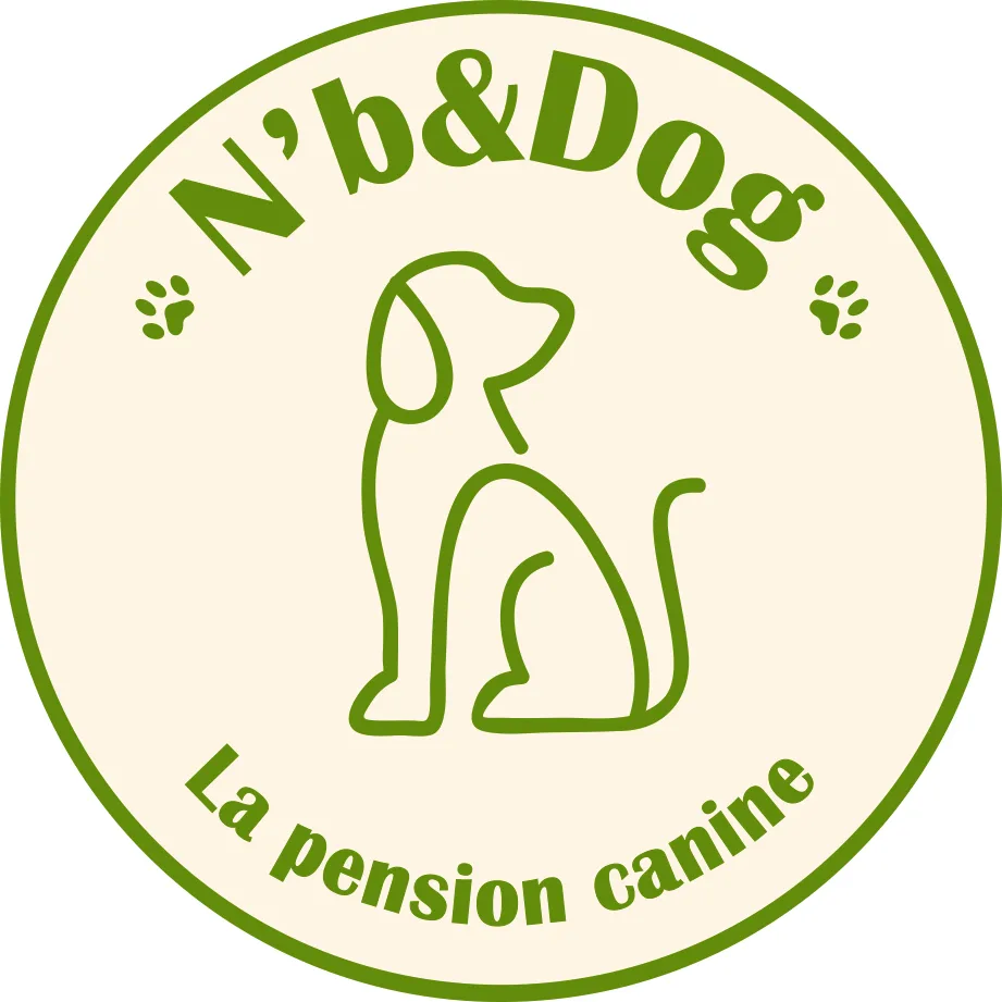 N'b&Dog - Gastes pet otel görseli 3