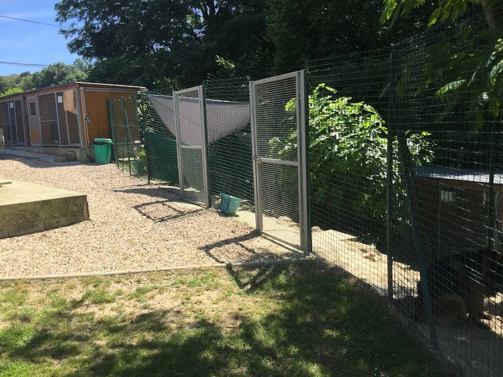 Pension Canine des Bords de l’Adour - Gastes pet otel görseli 2
