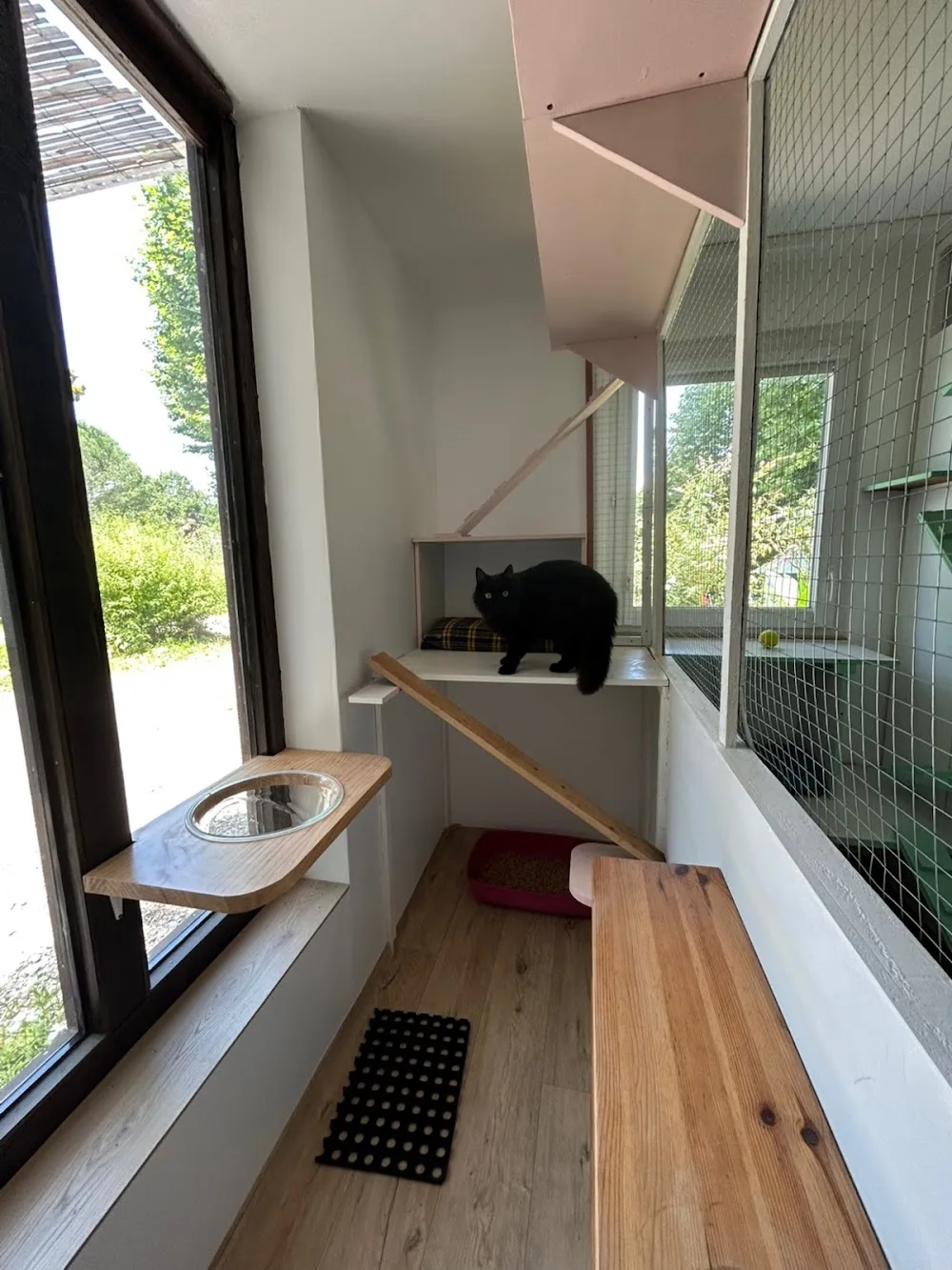 Pension Féline du Seignanx - Gastes pet otel