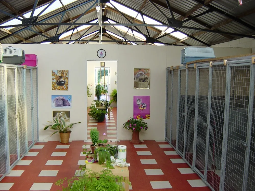 Sunny Meadows Cattery - Cattery in Ryton - Gateshead pet otel