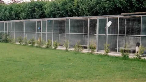 Tarril Boarding Kennels & Cattery - Gateshead pet otel