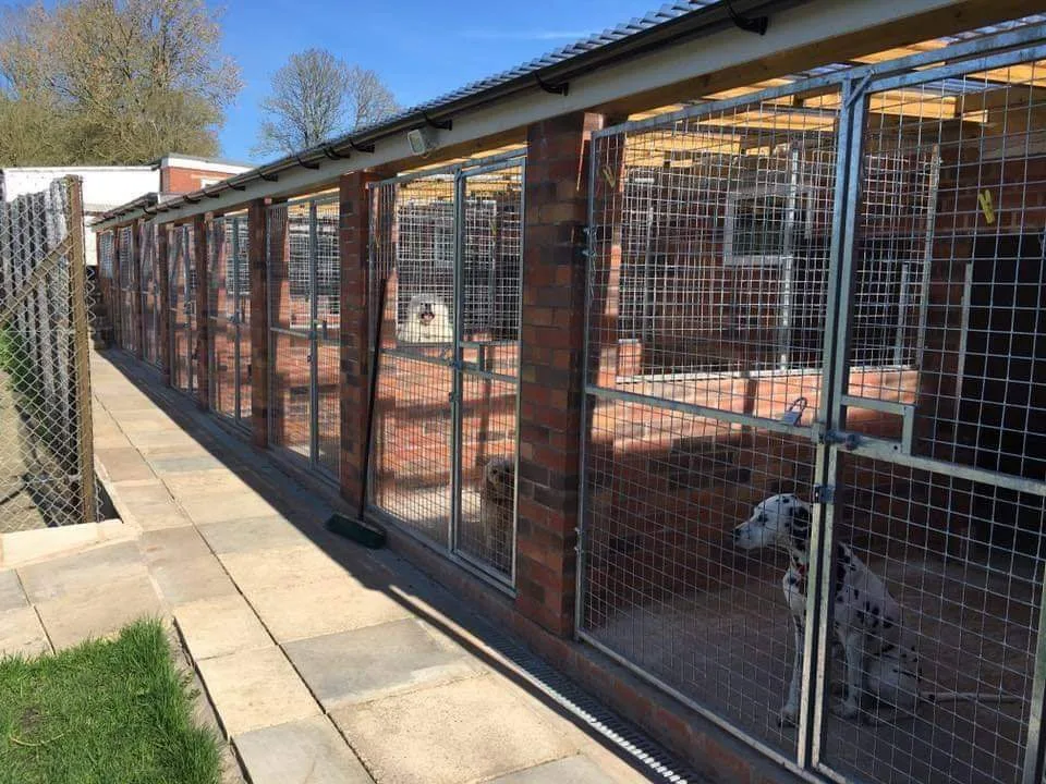 Alderminster Kennels & Cattery - Gaydon pet otel