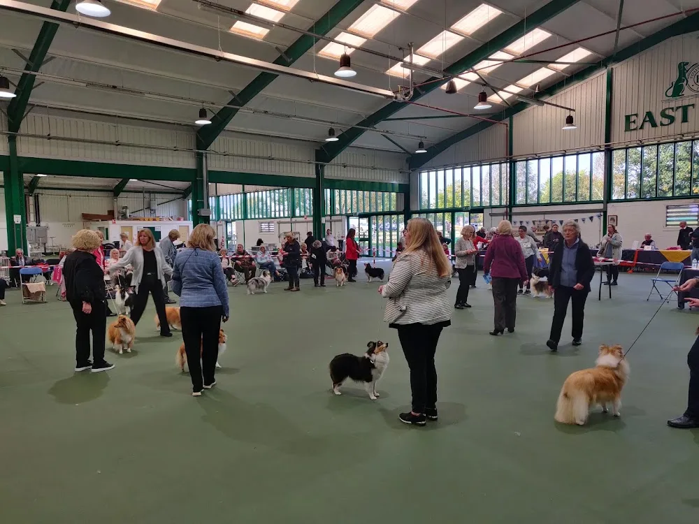 Kennel Club Building - Gaydon pet otel görseli 4
