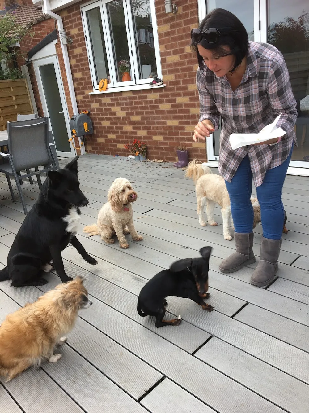 Pillerton Paws - Boarding & Walking - Gaydon pet otel görseli 3
