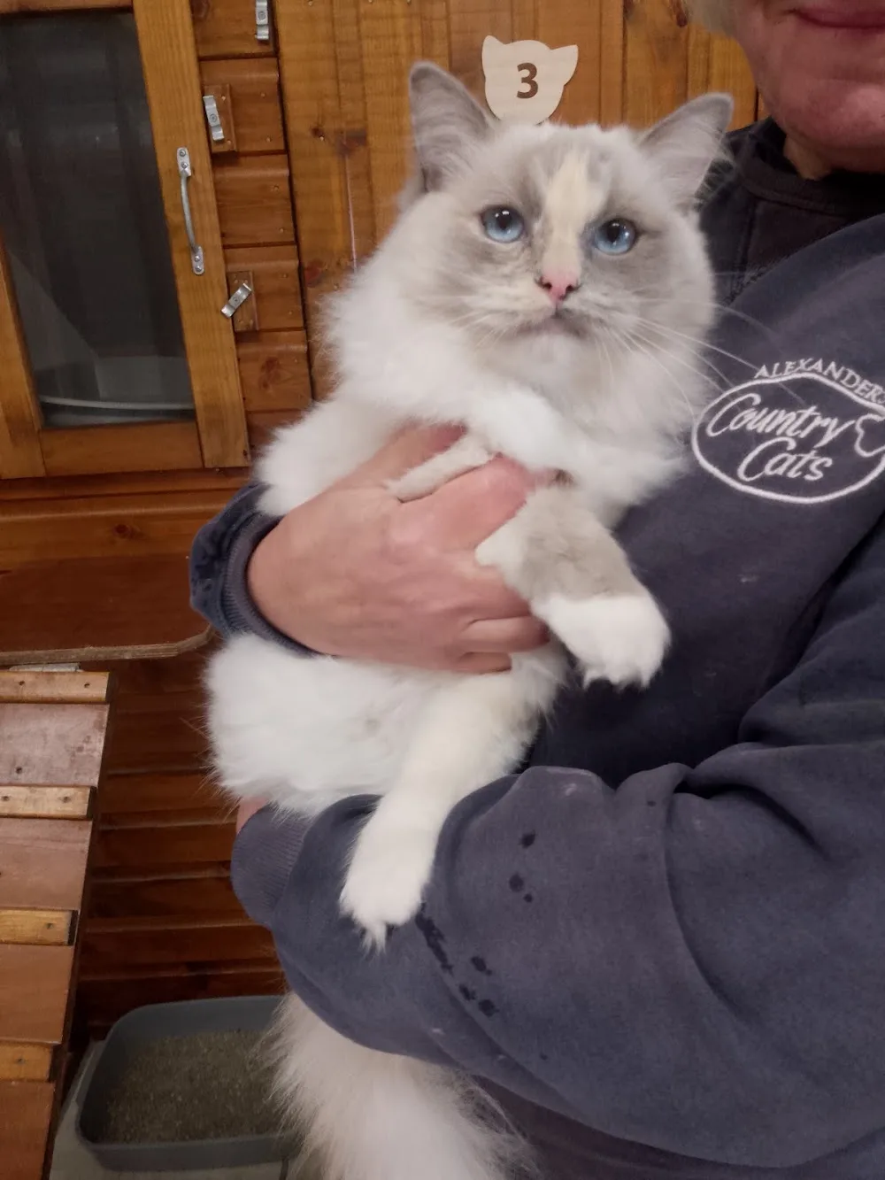Alexanders Country Cats - Bedford pet otel
