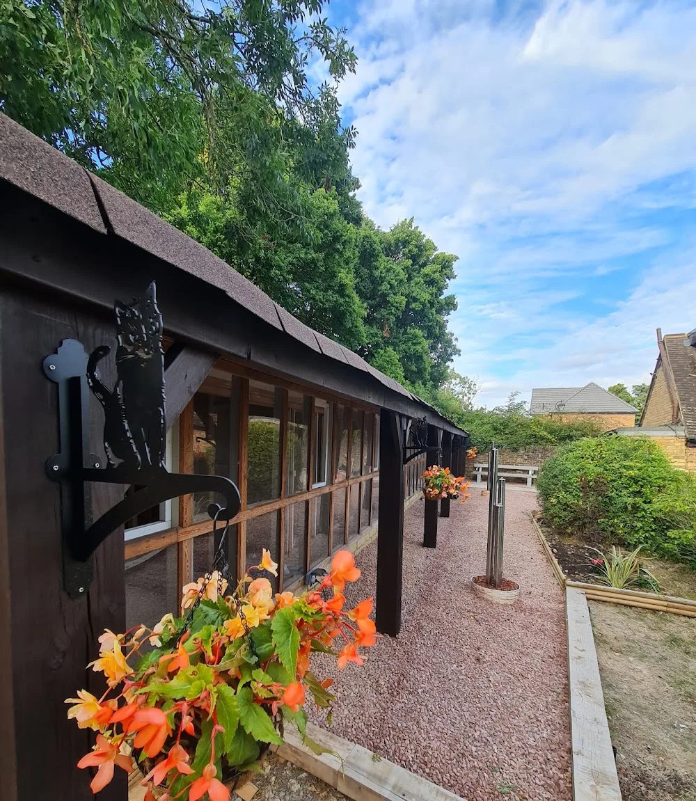 Catalie's Cattery - Bedford pet otel