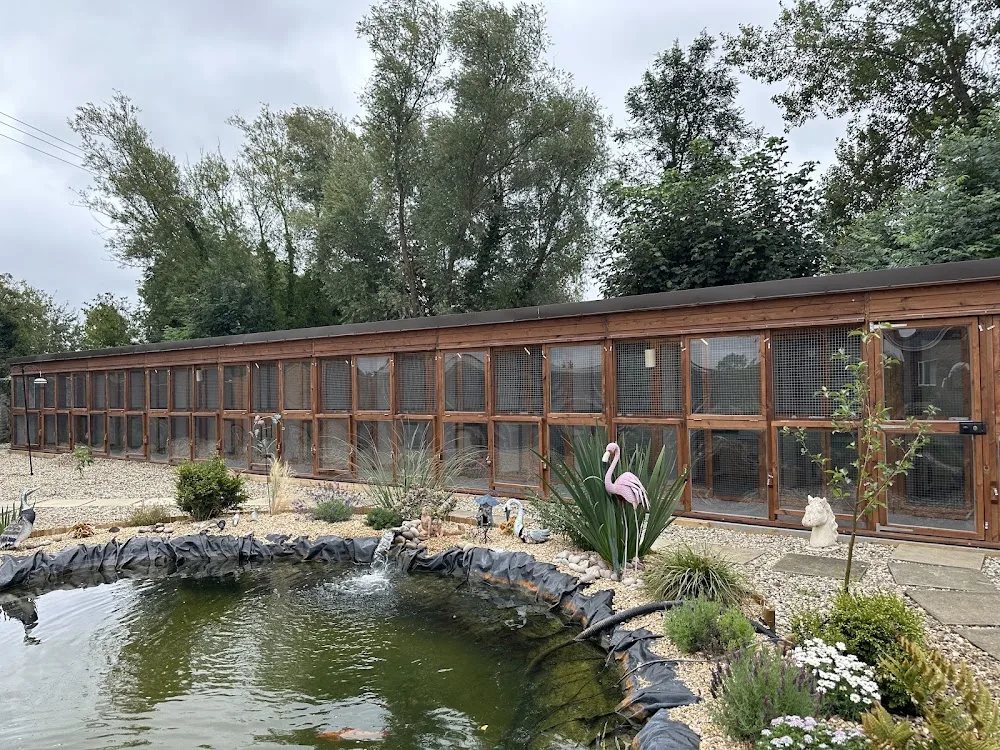 DW Cattery - Hockliffe - Bedford pet otel görseli 2