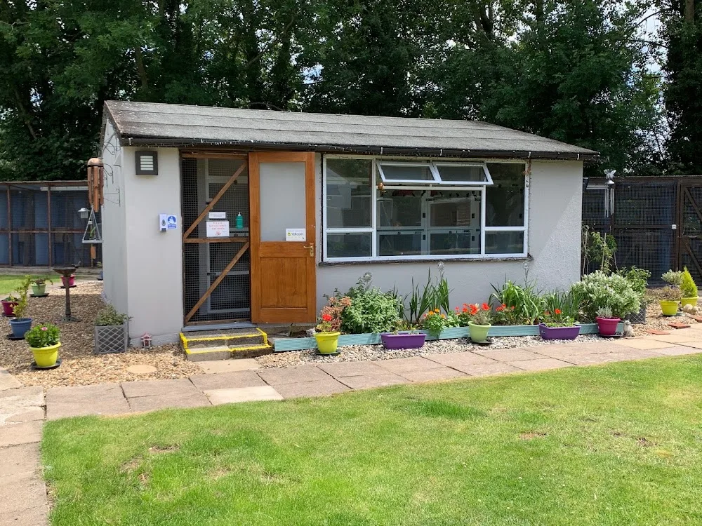 DW Cattery - Hockliffe - Bedford pet otel görseli 3