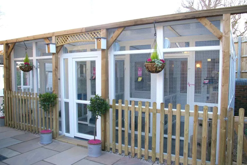 Longcroft Luxury Cat Hotel Flitwick - Bedford pet otel görseli 2