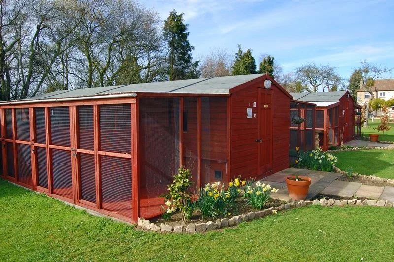 NAO Cattery - Bedford pet otel