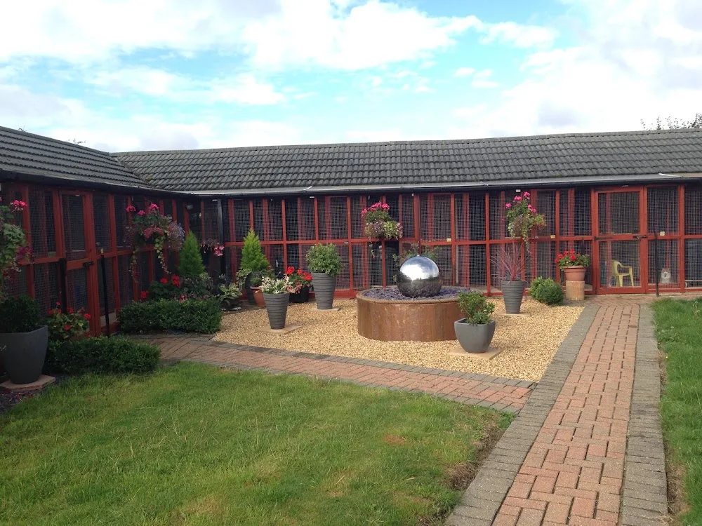 Narly Oak Boarding Cattery - Bedford pet otel görseli 3