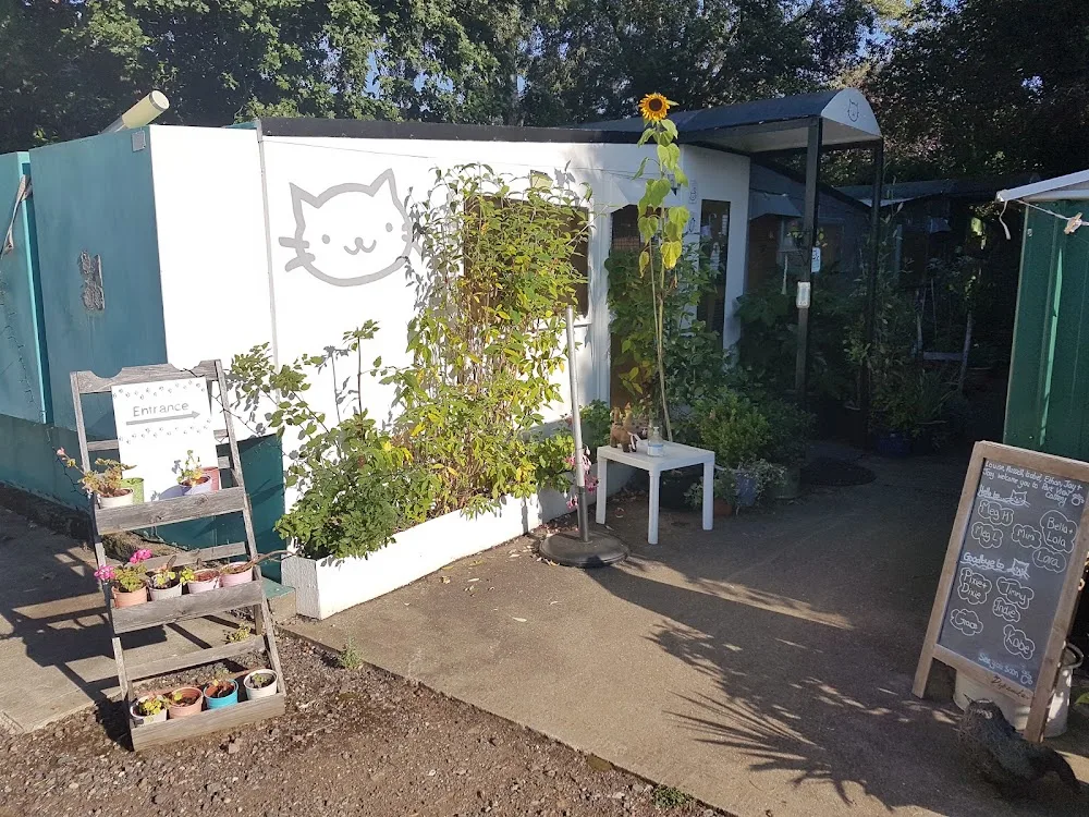 Park View Cattery - Bedford pet otel görseli 3