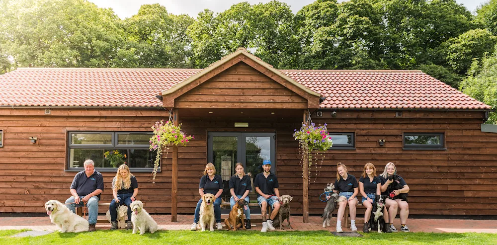 The Conifers Canine Hotel - Bedford pet otel görseli 2
