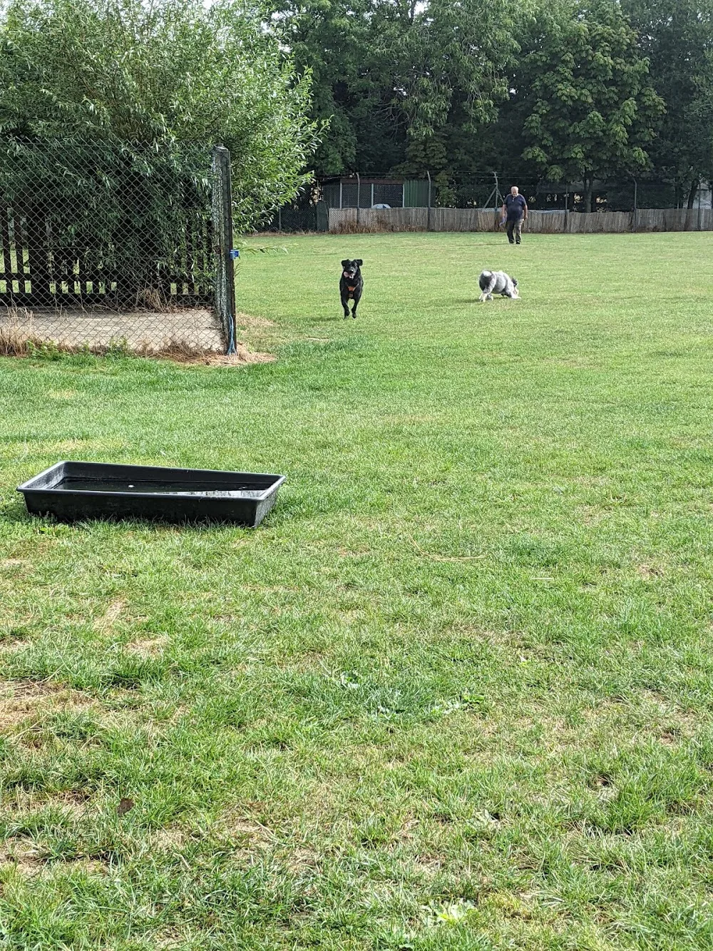 Thrift End Farm Kennels & Cattery - Bedford pet otel görseli 3
