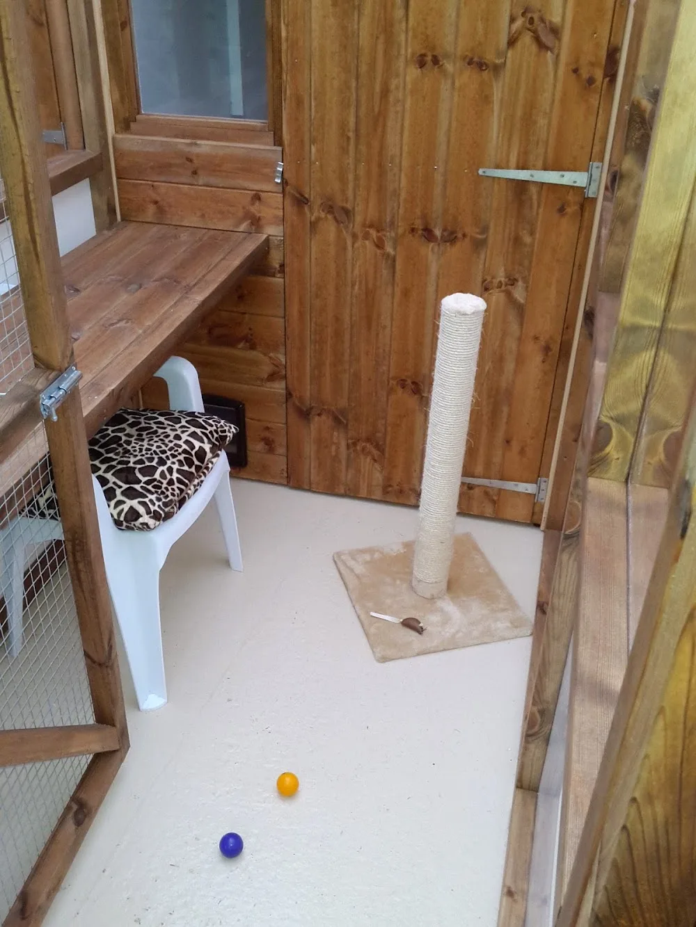 Willow Cottage Cattery - Bedford pet otel görseli 3