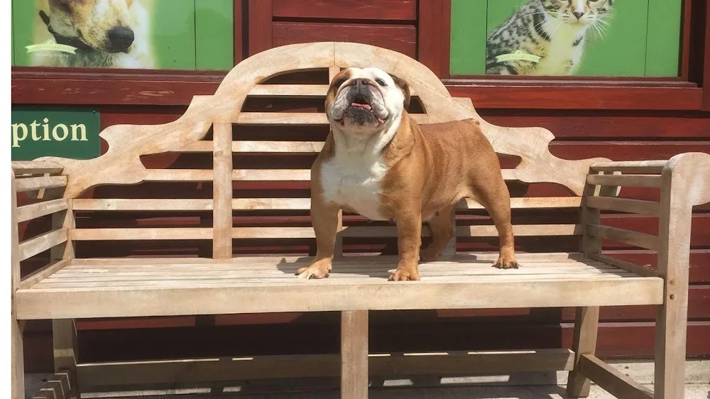 Nursery Farm Kennels - Liverpool pet otel görseli 2