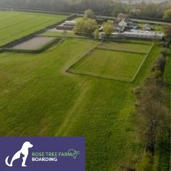 Rose Tree Farm Boarding & Hydrotherapy - Liverpool pet otel