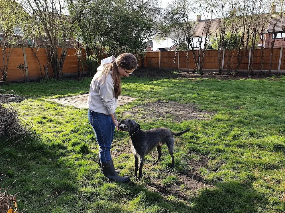 Ula&Maks Dog care - Liverpool pet otel görseli 2