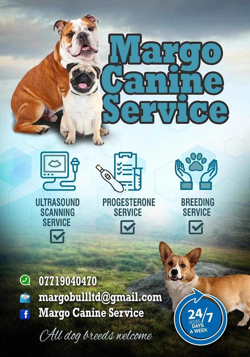 Margo Canine service - Newport pet otel