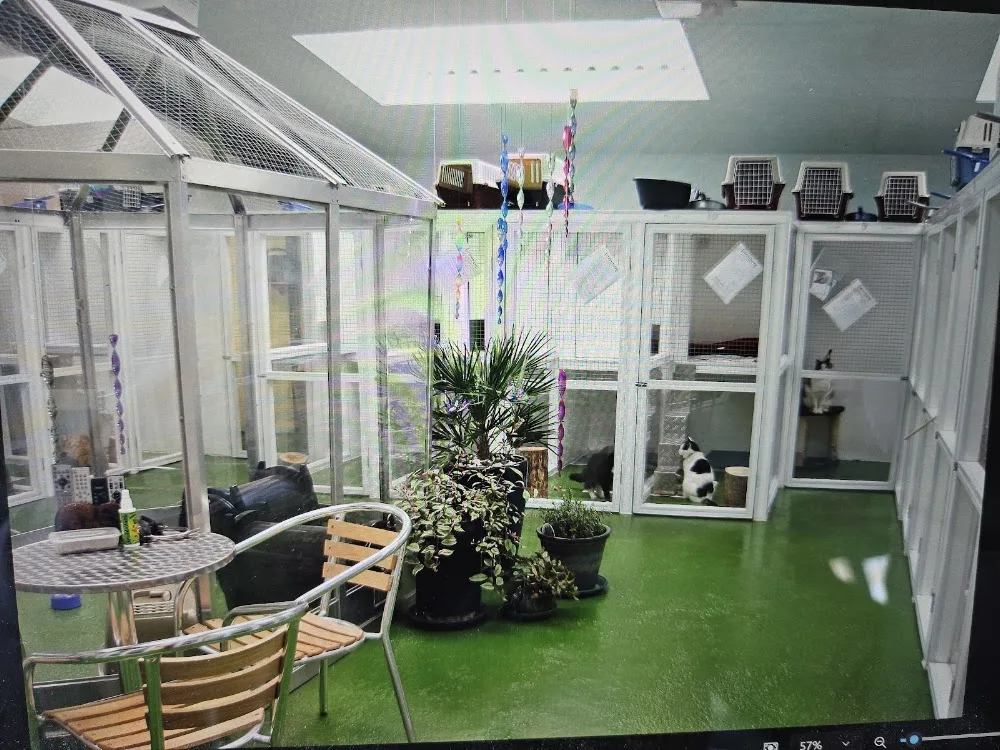 Greenbarn Cattery - Portsmouth pet otel