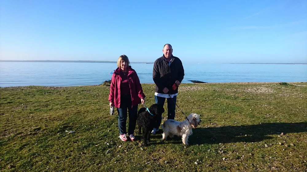 Holiday Hounds - Portsmouth pet otel görseli 3