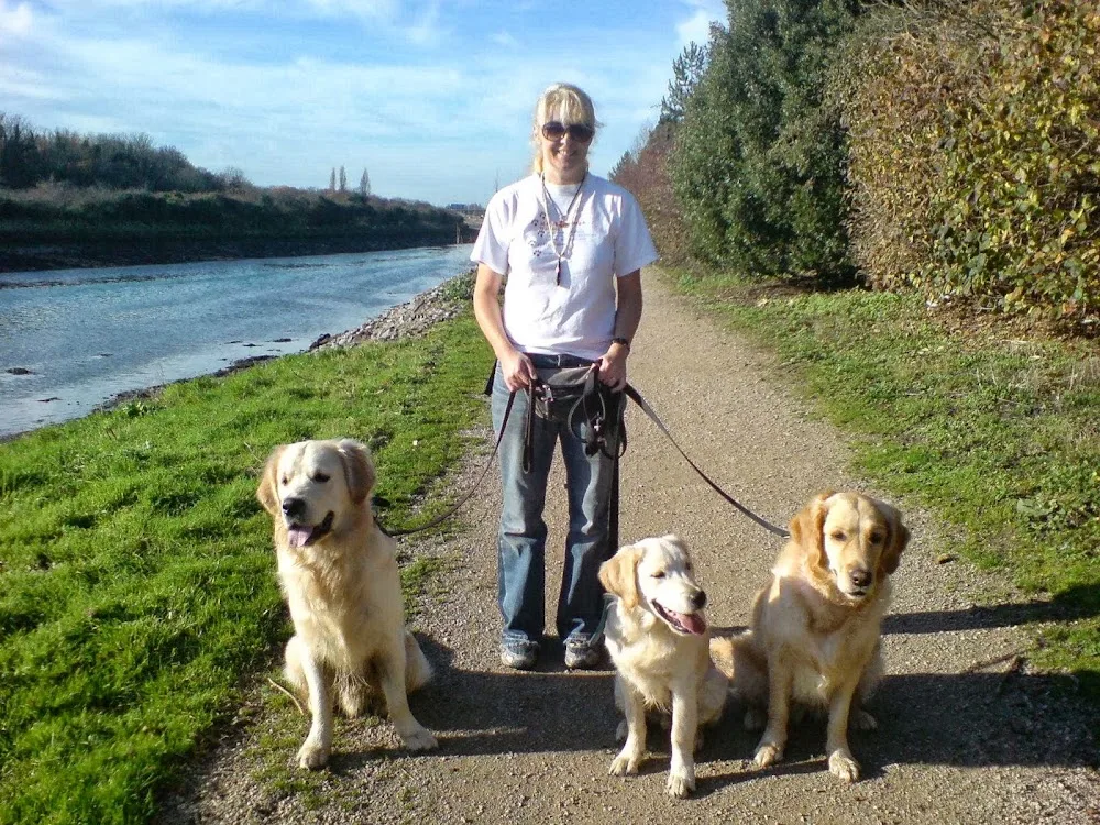 M-Bark Boarding & Walking - Portsmouth pet otel görseli 2