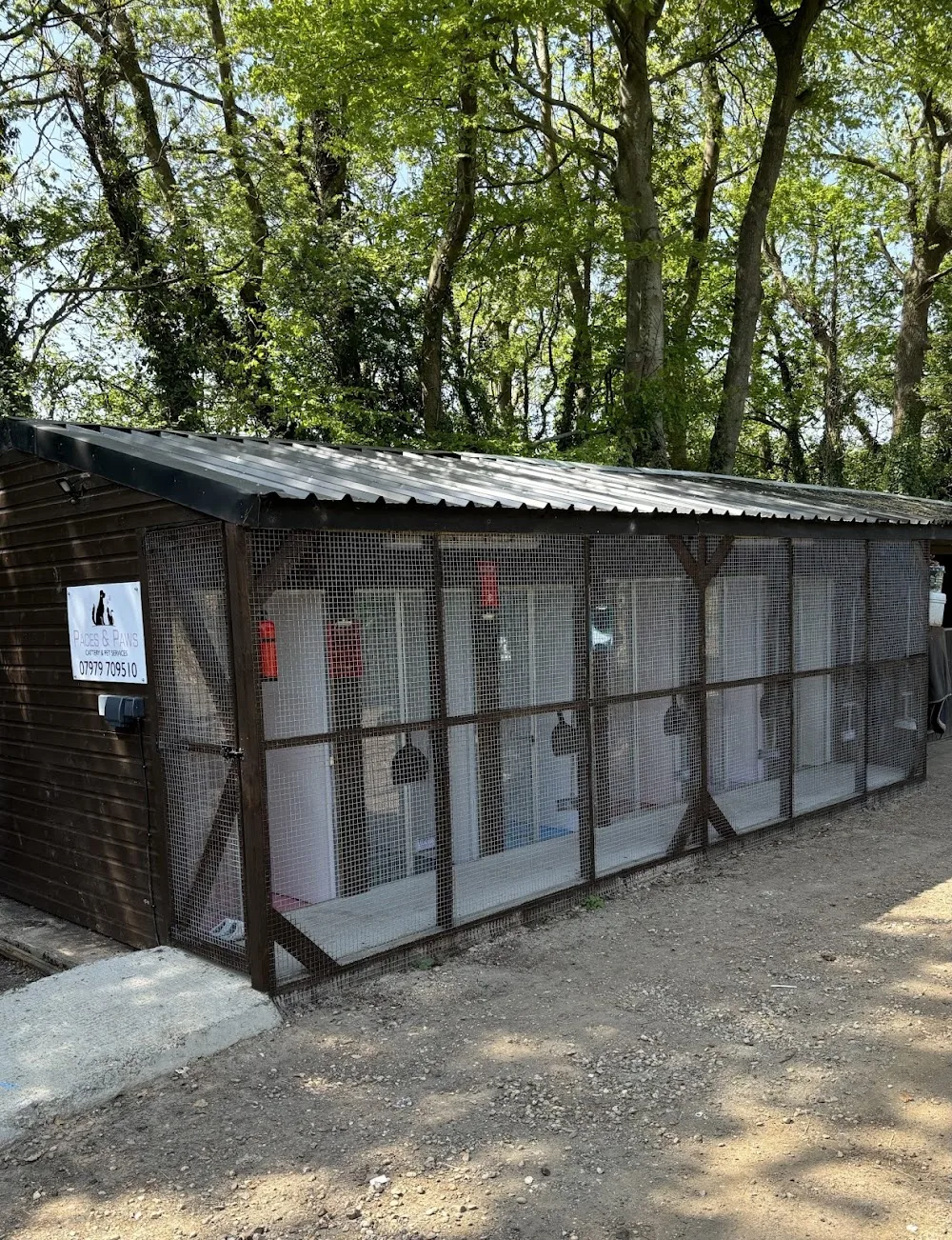 Paces and Paws - Cattery & Pet Services - Portsmouth pet otel görseli 2