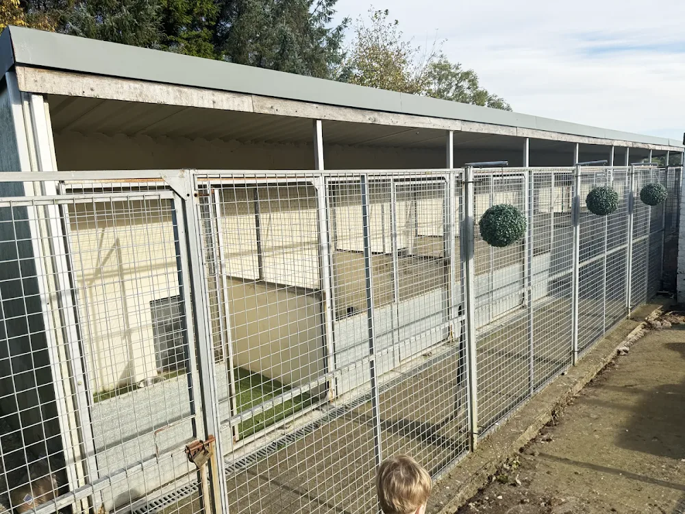 Ayr Dog and Cat Boarding - South Ayrshire pet otel görseli 3